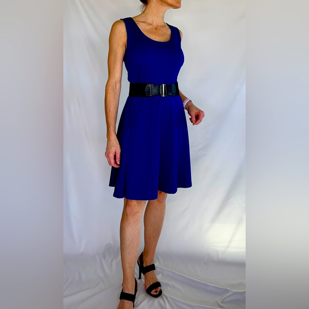 The Limited Sleeveless Dress